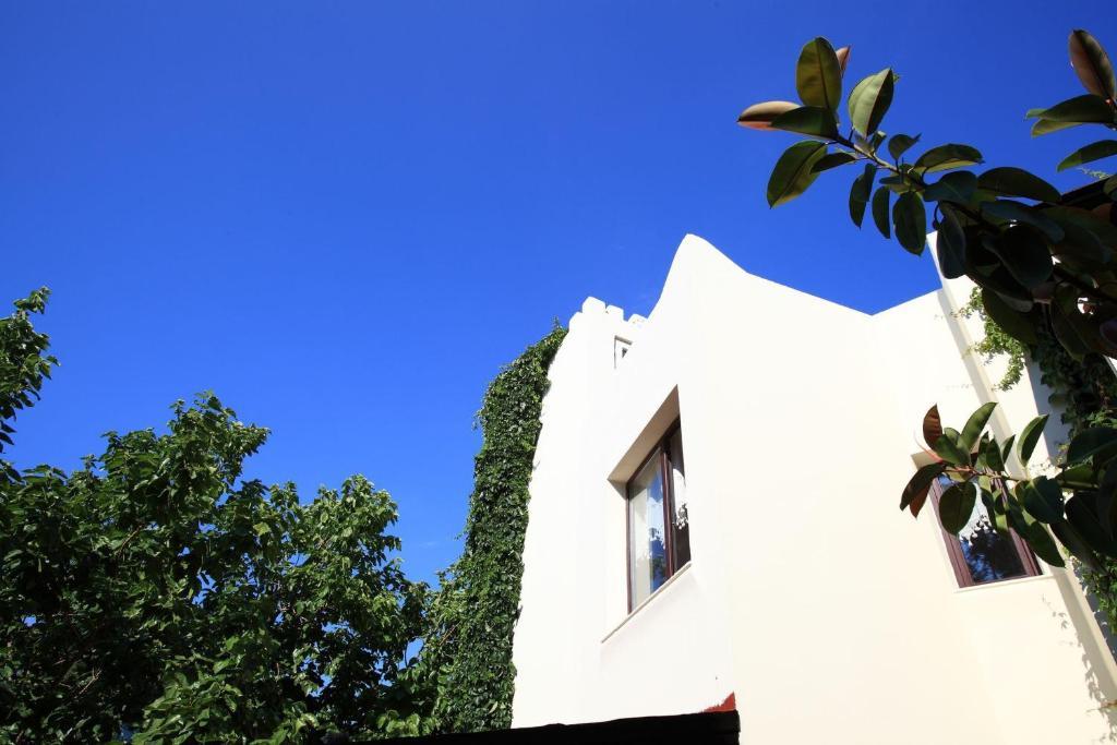 Paloma Hotel Αλικαρνασσός Εξωτερικό φωτογραφία